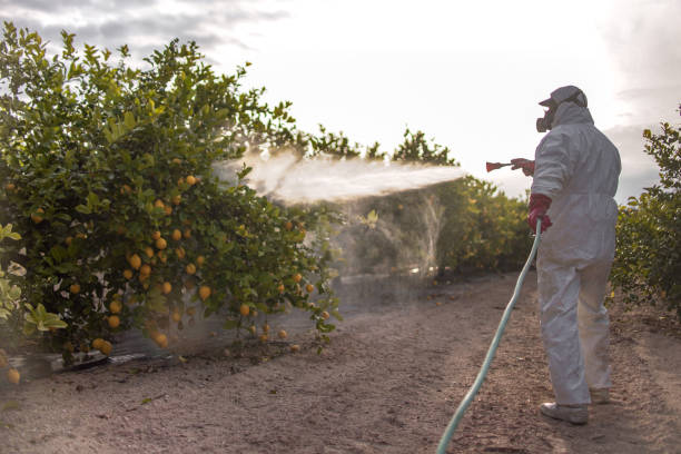 Best Pest Control Near Me  in Eaton, CO
