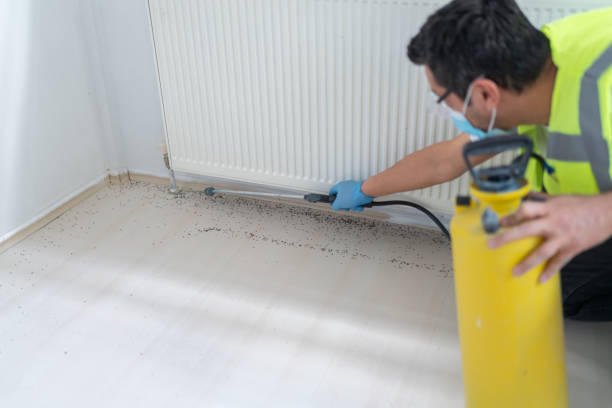 Reliable Eaton, CO Pest Control Solutions