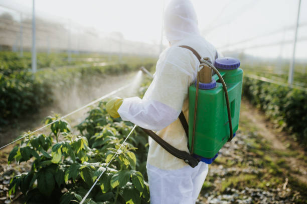 Best Best Pest Control Companies  in Eaton, CO